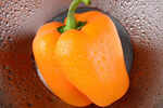 Orange Peppers