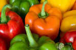 Types of bell peppers and their nutrition
